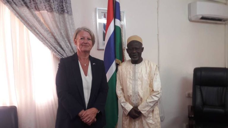 Gambian Foreign Minister Meets UK High Commissioner, EU Ambassador