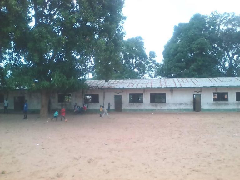 Mosquitoes Disturbing Classes At Brikama Primary School