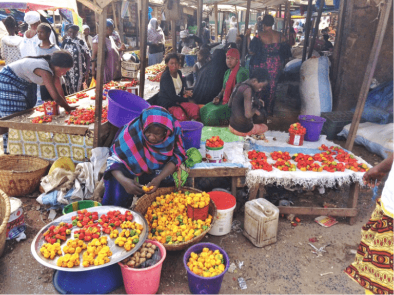 Vegetable Sellers Complain About Daily Challenges At The Market