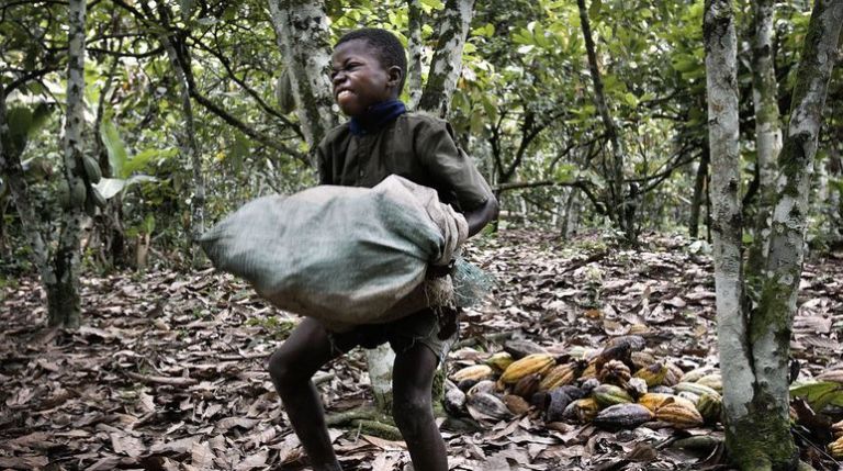 Report says Gambian children engage in ‘worst’ forms of child labour