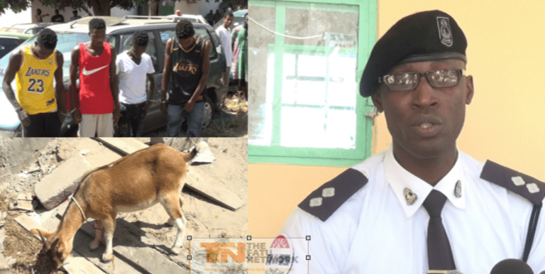 Thieves, beware of she-goats! Three thieves arrested after goat bleated from boot of taxi