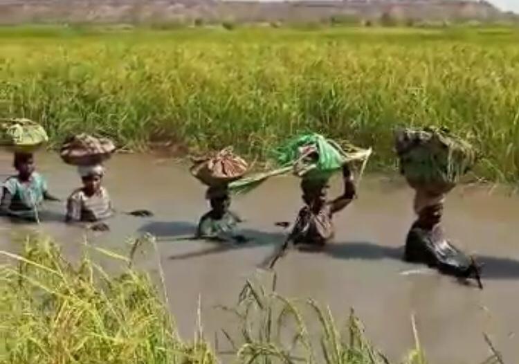 Horrifying video shows Nianija women wading in water at chest-point before they could get to their farms