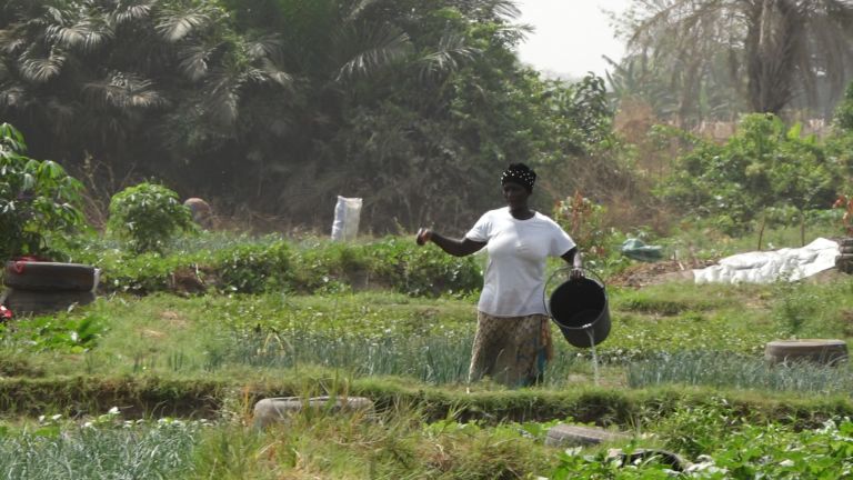 N’Jeshwang land dispute: Minister allocated land to his brother following RIGHT procedure says permanent secretary