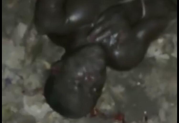 Tijan Barry gets charged with MURDER as alleged thief that was brutally beaten DIES