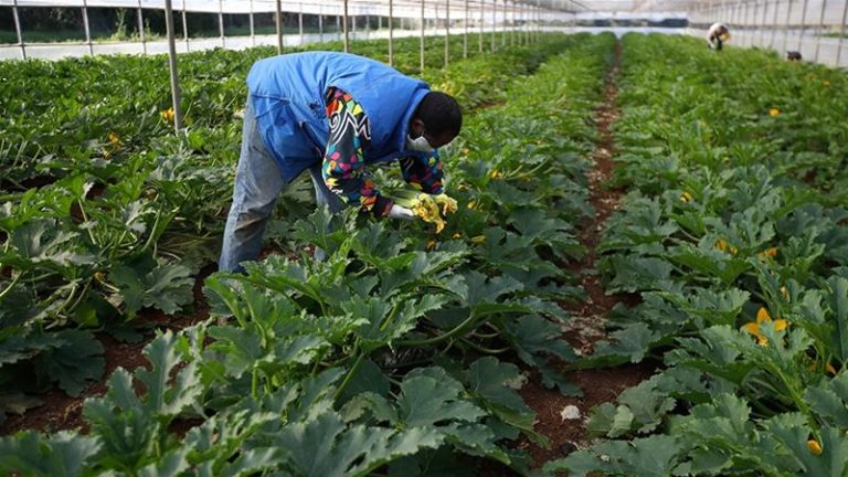 ITALY: Thousands of Gambians could finally land themselves jobs – as country agrees to make changes to employment permits