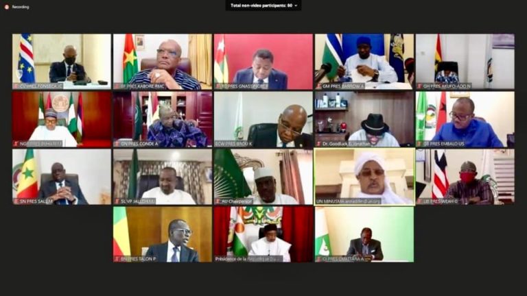 ADAMA MAKASUBA – OPINION: Ecowas Leaders Are Playing Chameleon Game In Mali’s Crisis