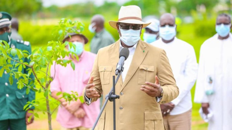SENEGAL: Macky Sall says he will propose law to mandate tree planting
