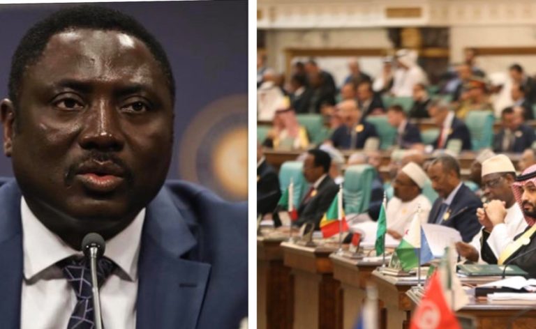 Dr Mamadou Tangara leads strong Gambia delegation to Niger for OIC foreign ministers summit