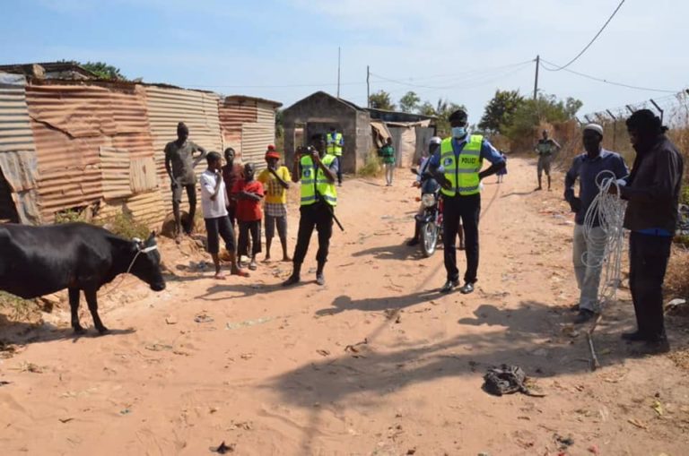 Police start their crackdown on strayed cows, goats, sheep and donkeys