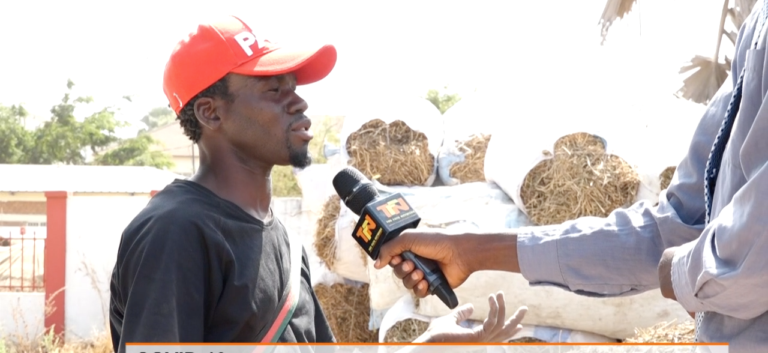 Matarr Njie: The young man ready to do any job that comes his way