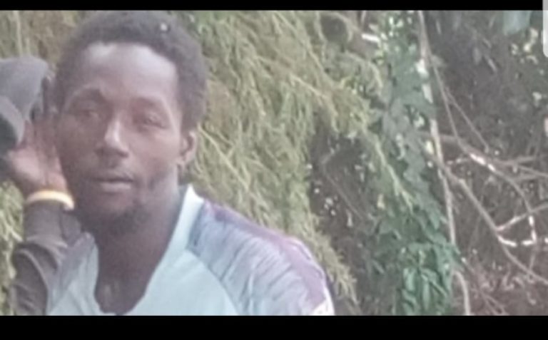 Gambian reportedly killed along with rebels at rebel base in Casamance