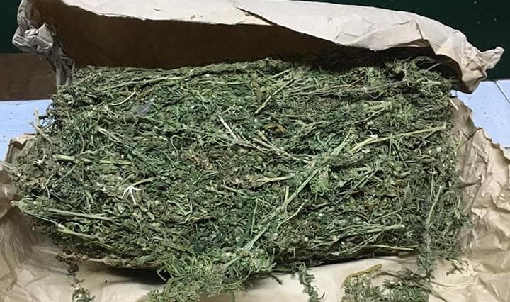 Fake marabout arrested with many bundles of cannabis in Sanyang