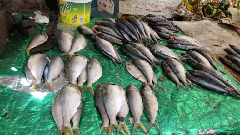 Coastal Road Market fish vendors lament daily challenges