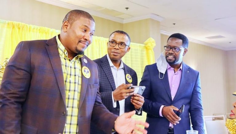 UDP raises 2.5 million dalasis at US fundraising event