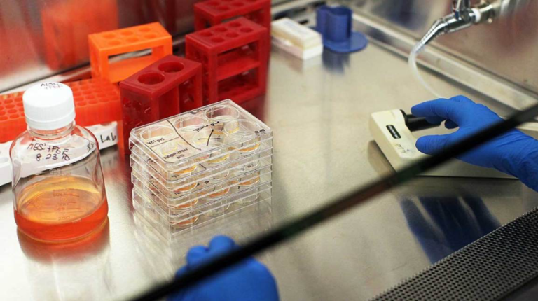 Sickle-Cell Gets First New Treatment in 20 Years