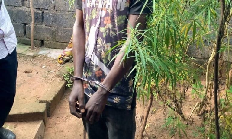 War on drugs: DLEAG arrests Guinean and three Gambians