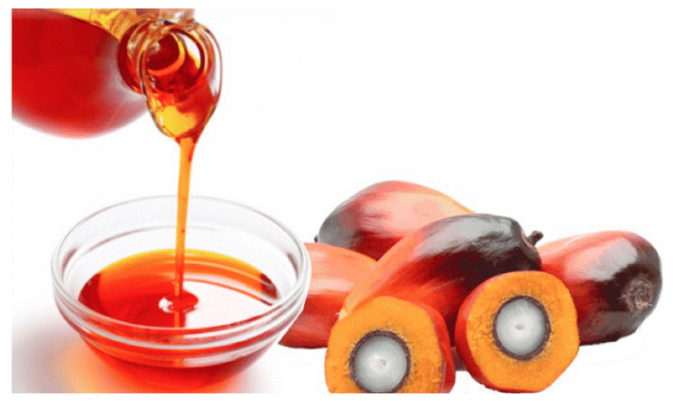 Pro. Raphael Nyarkotey Obu: Red palm oil lowers cholesterol, slows heart diseases