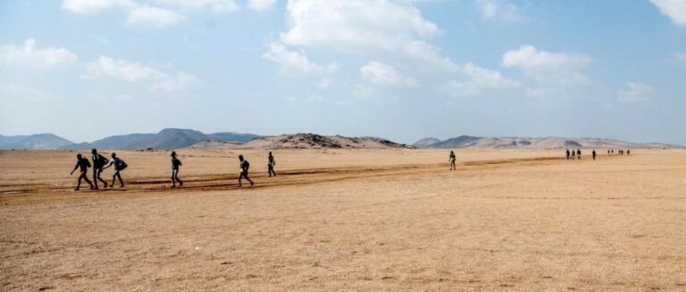 Urgent Plea: Fear of Starving to Death Among Desert-Stranded Gambian Migrants