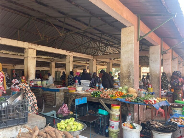 Janjangbureh Market Vendors Concerned About Unhygienic Conditions