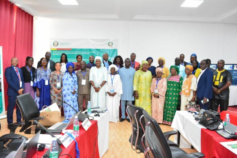 ECOWAS Inaugurates Two Regional Committees