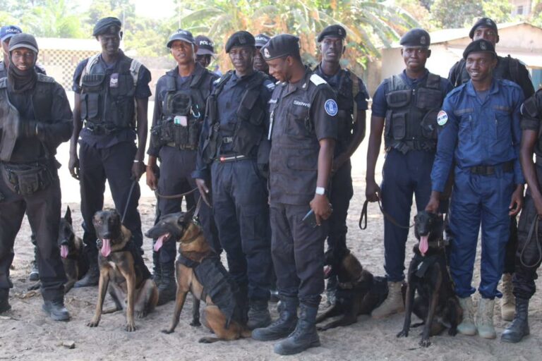 Police Commence Using Trained K-9 Dogs to Crack Down on Criminals