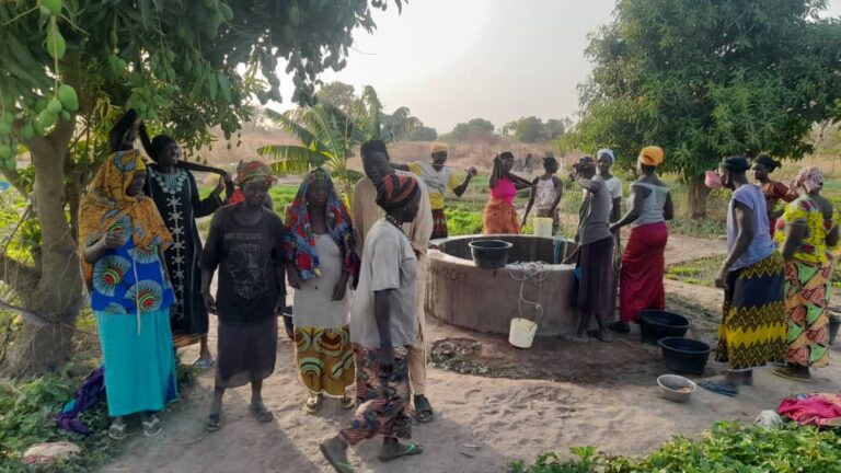 Struggling Women Gardeners in Sami Koto: Calls for Urgent Support and Resources