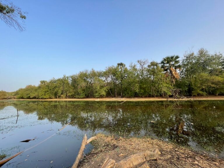 Bush Town Community Compensated with State-of-the-Art Eco-lodge Center for Forest Preservation