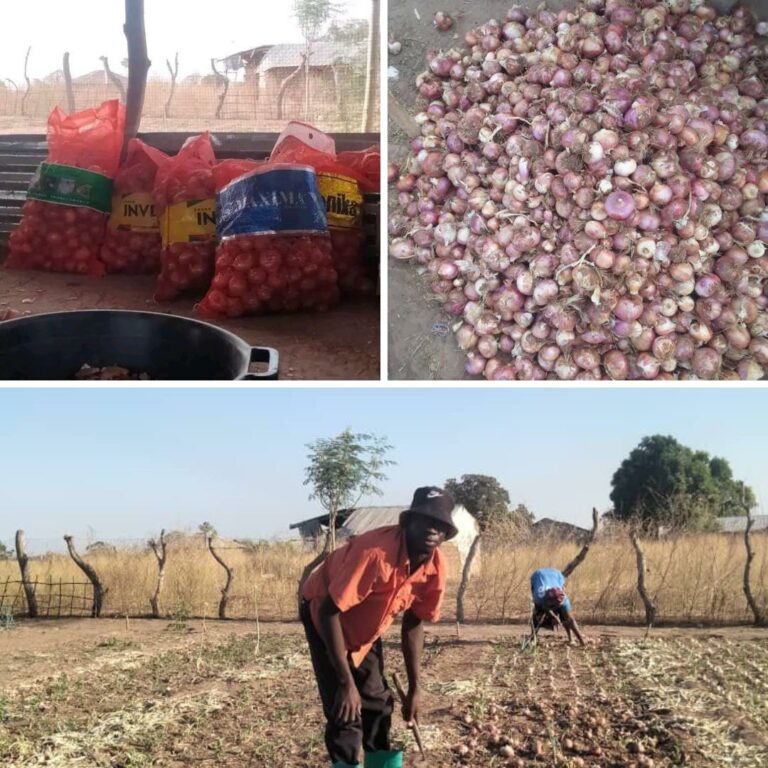 From struggle for access to water to bumper harvest: Young rural gardener rejoices