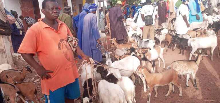 Livestock Sellers Not Optimistic About Tobaski Sales