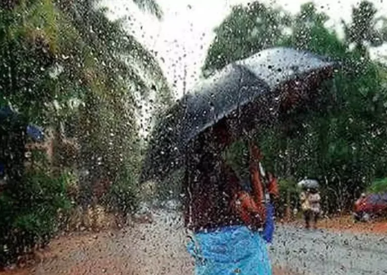 Market Women at SBEC by Salaji Speak Out on Rainy Season Challenges in The Gambia