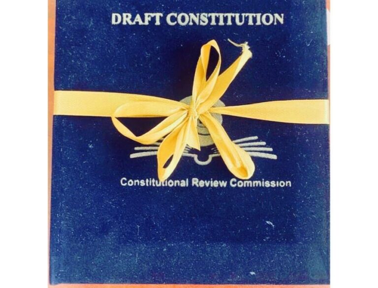 Is the Dawda Jallow Draft Constitution Really Fit for Purpose?