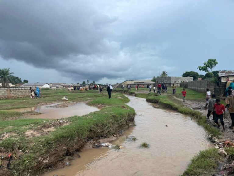 Remains of 10-Year-Old Discovered at Kotu/Manjai Bridge