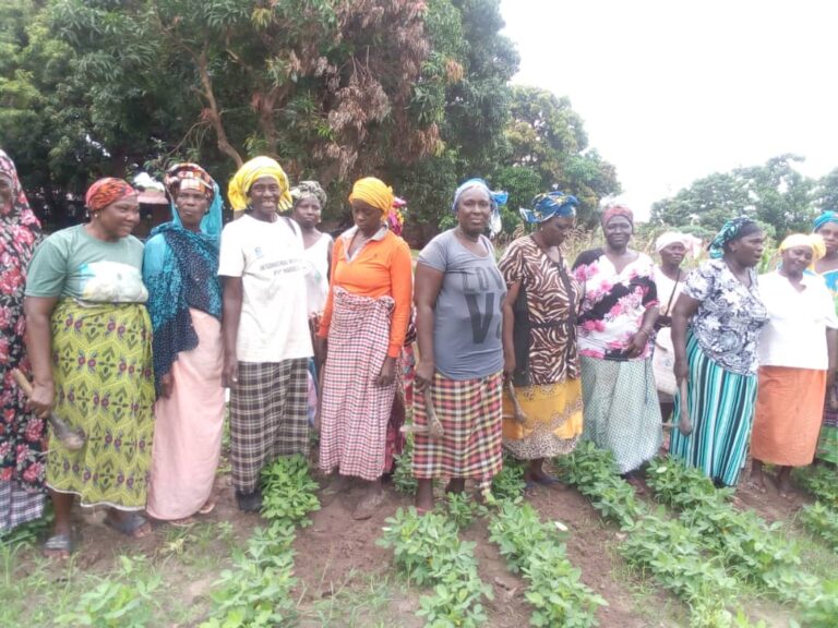 Sukuta Women’s Agriculture Gardeners: A Legacy of Passion, Unity, and Resilience