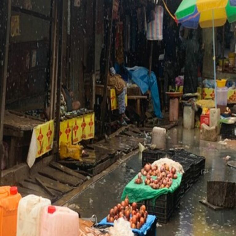 Disputes Over Market Conditions: Brikama Vendors Criticize Unhygienic Conditions Amid Contrasting Views from Market Committee Chairman