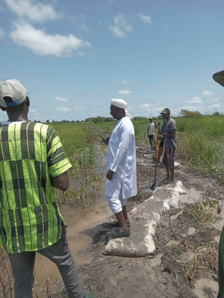 Torrential Flood Hits Jahaly Parcharr Rice Fields (CRR), Mauro Farms Suffers Grave Losses