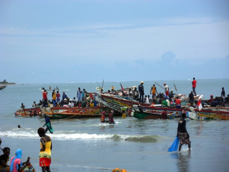 Large Vessels Blamed for Fish Scarcity in Tanji Landing Site