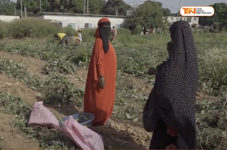 Women’s Garden in Banjulinding: Cultivating Community and Harvesting Hope