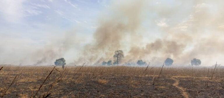 Breaking News: Bushfire Breaks Out in Chamen, Near Farafenni, Threatening Farms and GSI