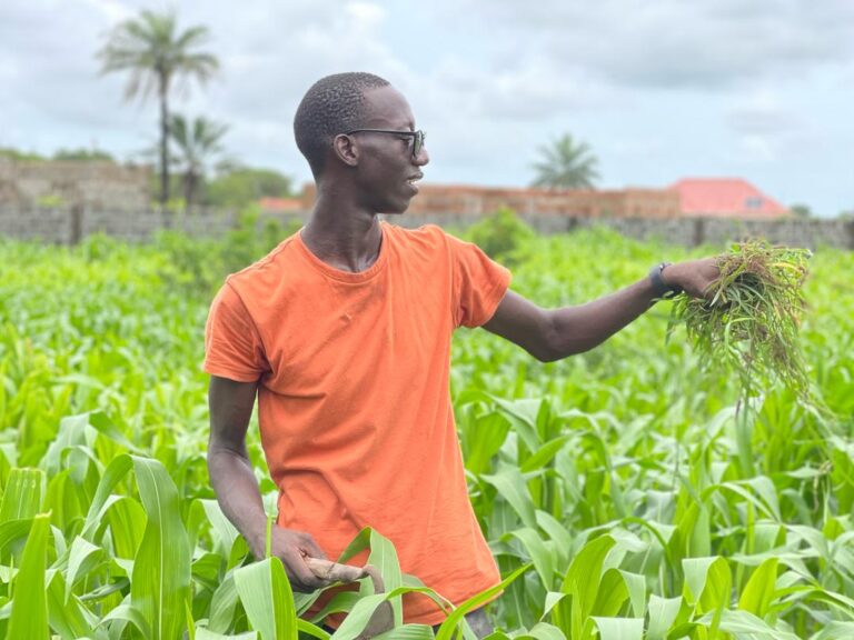 Young Gambian Agripreneur Champions Climate-Smart Farming for Women and Youth