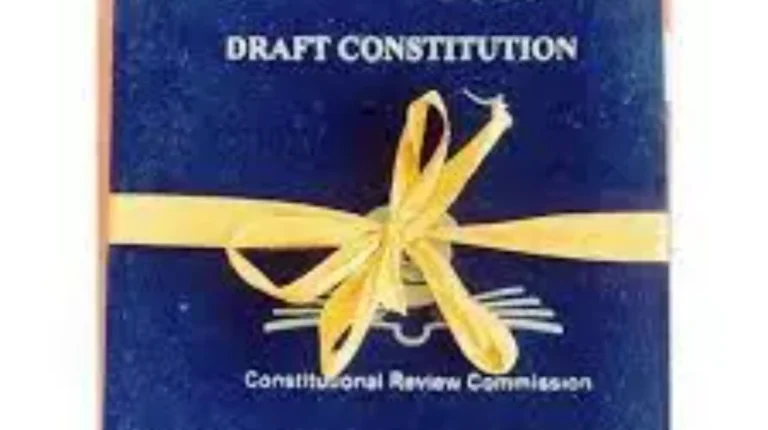 International IDEA Facilitates National Dialogue on Gambia’s 2024 Draft Constitution