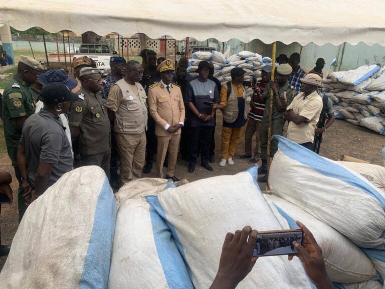 Senegal Destroys 225 Hectares of Cannabis, Seizes 3,700kg in Major Island Raid