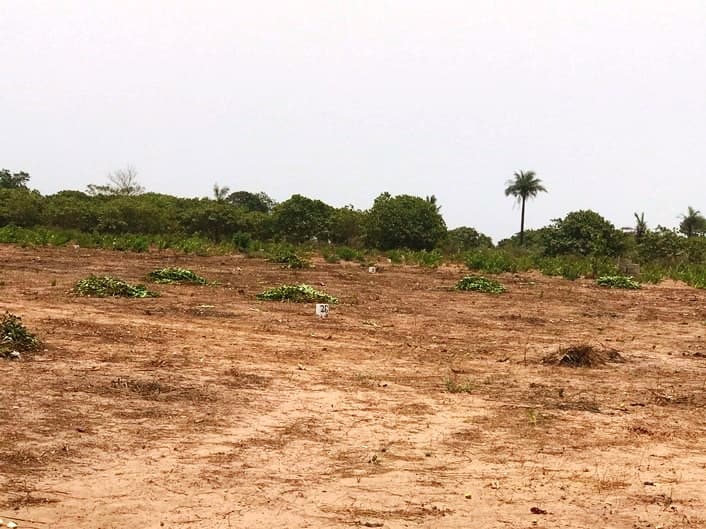 The New Land Policy: Progress, But the Fight Continues