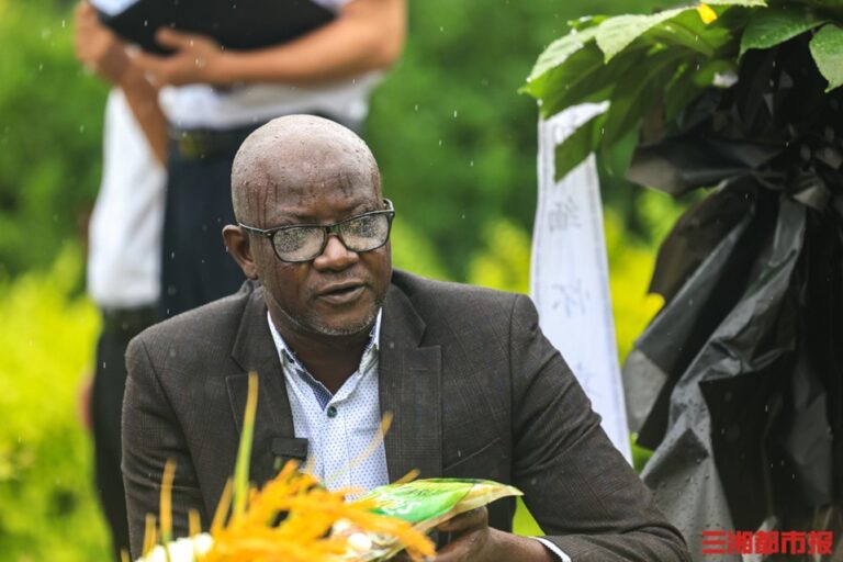 China-Africa Cooperation: Cultivating Hope and Future in The Gambia’s Rice Fields