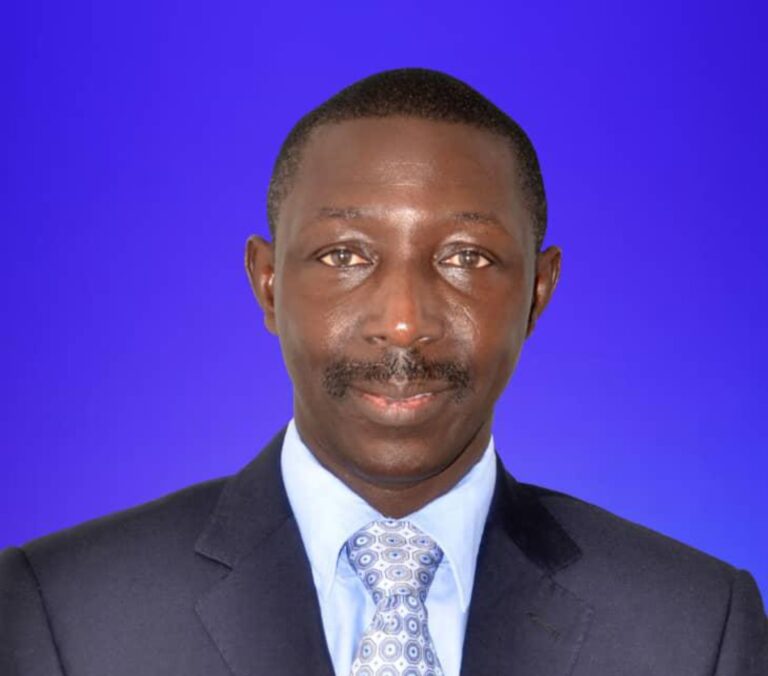 Gambia Doesn’t Necessarily Need IMF, World Bank, or Islamic Bank for Sustainability – PAP Leader
