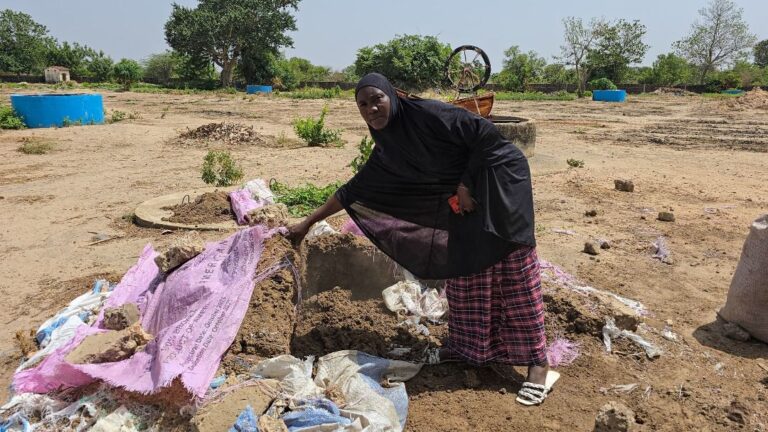 Organic Composting Takes Root Across Rural Gambia in Bid to Cut Chemical Use