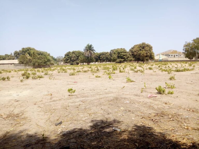 Beyond Juridical Fiat: Contesting Elite Capture within The Gambia’s Land Governance Framework