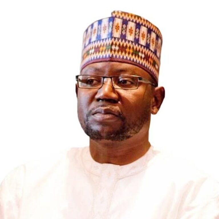 Mai Ahmad Fatty Reaffirms GMC’s Commitment to NPP Alliance