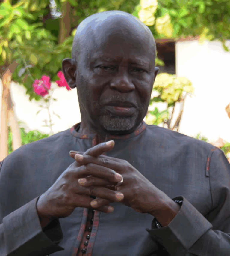UDP Condemns Presidential Adviser Mballow, Alleges Tribal Incitement