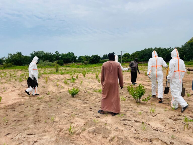 “We Will Not Take It Lightly”: Foni Vulture Killings Spark Fears of Occult Practices