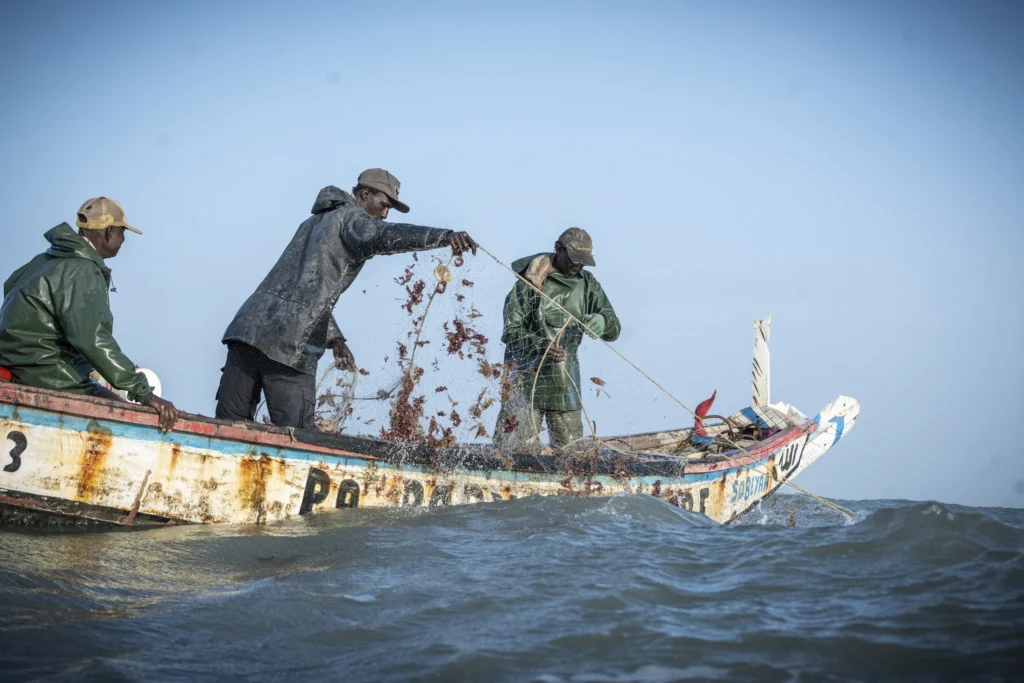 When Nets Break and Brothers Burn: Gambians Fight Trawlers – And Each Other